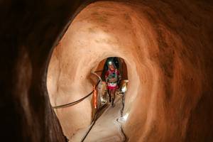 BIB: 
                            <button type="button" onclick="openModal(26241711)" class="btn btn-primary btn-sm float-right btn-popup" data-toggle="modal" data-target=".modal-high-quality">
                        <i class="fas fa-shopping-cart"></i> Add to Cart
                    </button>
                                            <button type="button" onclick="isThisMe(26241711, true)" class="btn btn-success btn-sm float-right btn-popup btn-isme hidden" data-toggle="tooltip" data-placement="bottom" title="นี่คือรูปของคุณใช่ไหม คลิกที่นี่เพื่อเอาเข้าอัลบั้ม">
                        <i class="fas fa-plus"></i> Add to album
                    </button>
                    <button type="button" onclick="isThisMe(26241711, false)" class="btn btn-warning btn-sm float-right btn-popup btn-isnotme hidden">
                        <i class="fas fa-ban"></i> Remove from album
                    </button>